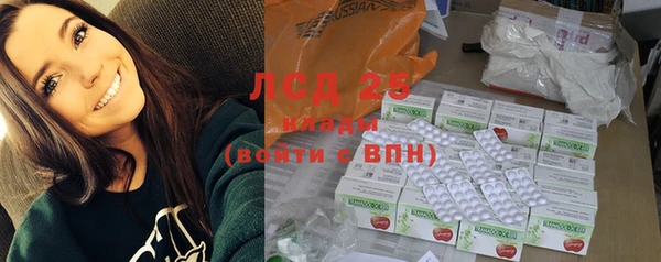мдпв Лагань