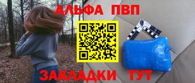 шишки Дубна