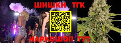 шишки Дубна