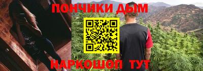 шишки Дубна