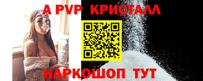 шишки Дубна