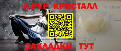 шишки Дубна