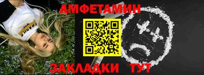 шишки Дубна