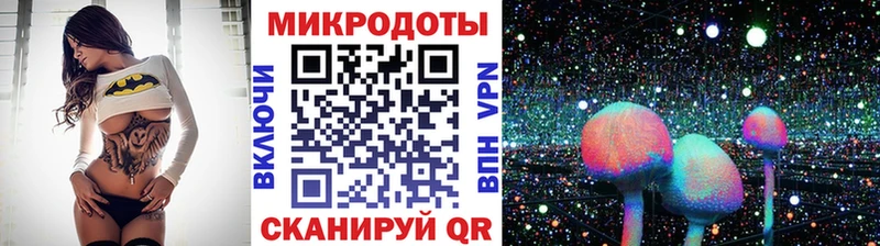 KRAKEN ТОР что такое наркотик Малгобек Галлюциногенные грибы мухоморы