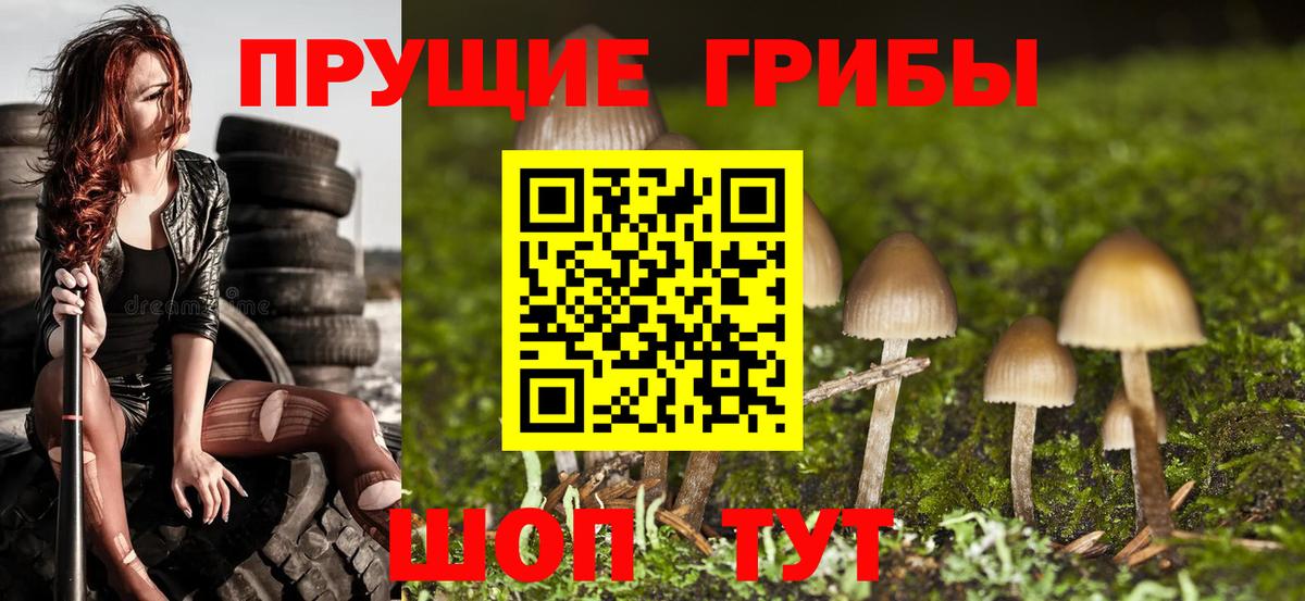 Галлюциногенные грибы MAGIC MUSHROOMS  Псилоцибиновые грибы Magic Shrooms  Малгобек  Вход с VPN 