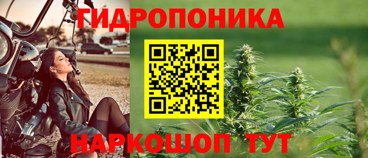 Бошки марихуана THC 21% Малгобек